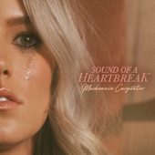 Sound Of A Heartbreak artwork