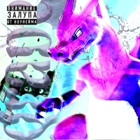 grape - Single - Toibroki