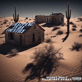 Trapping in Da Country (feat. Palmtree Pyrex) Diesel Don