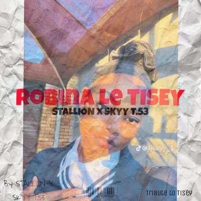 Ro bina le tisey_1 (feat. Stallion) - Single