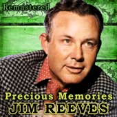 Precious Memories (Remastered) artwork