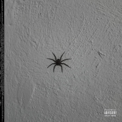 DARK DAYS BEFORE SUMMER '24 - EP