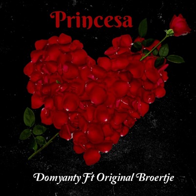 Princesa (feat. Original Broertje) - Single
