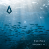 Purified Fragments XX - EP - Palisade, Affektion, TsuruSwing & Krokha