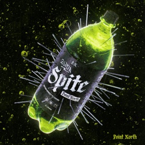 2 LITER SPITE - Single