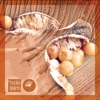 Shinbra cover art