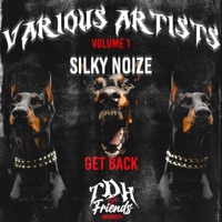 Get Back - Single - Silky Noize