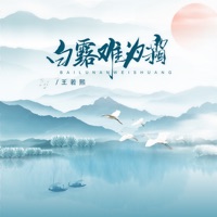白露难为霜 - Single - 王若熙