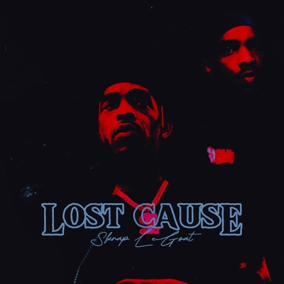 Lost Cause