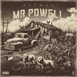 Mr Powell Hitman