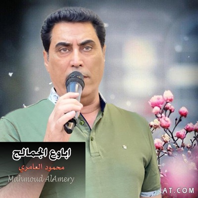 Mahmoud AlAmery - محمود العامري - اباوع الجمالج