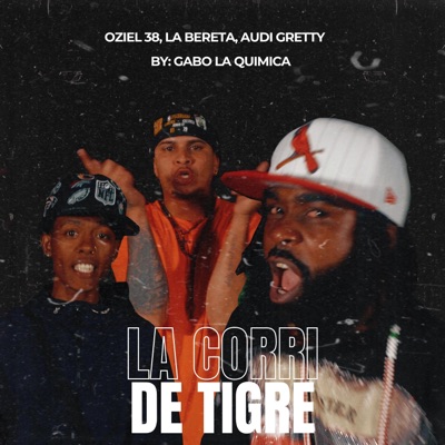 La Corri De Tiguere (feat. La Bereta,Audi Gretty) - Single