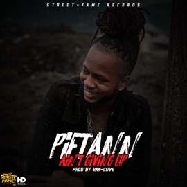 Aint Giving Up (feat. Van-Clive) Pietann