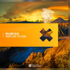 Where Have You Gone - Single