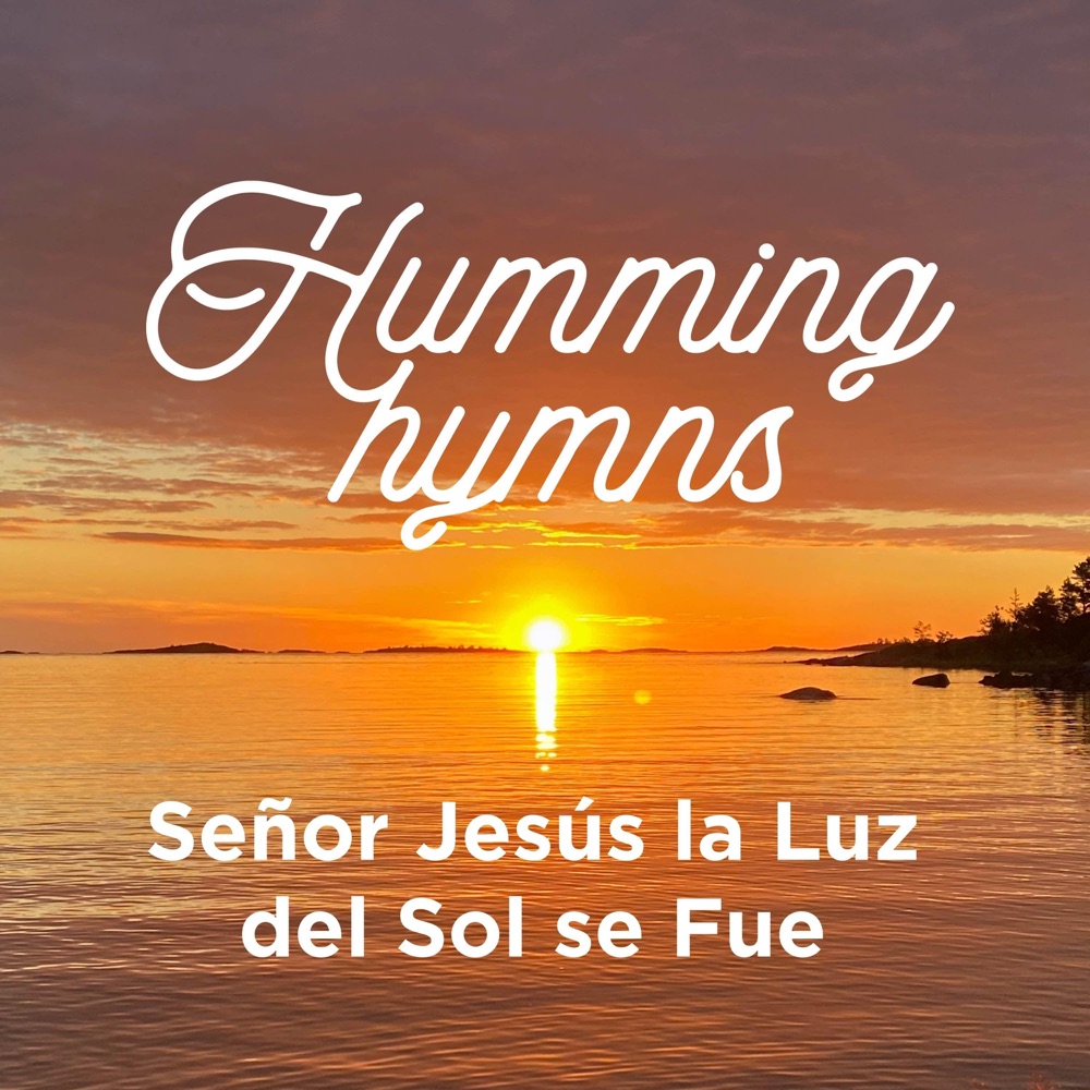 Обложка альбома «Señor Jesús la Luz del Sol se Fue - Single» — André de Lange & Anders Wihk