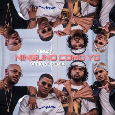 Ninguno Como Yo (Remix) - Single