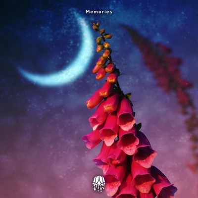 Memories (feat. Anne Lan) - Single