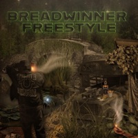 breadwinner freestyle - Single - DuK