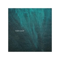 Insights - Single - Panchi