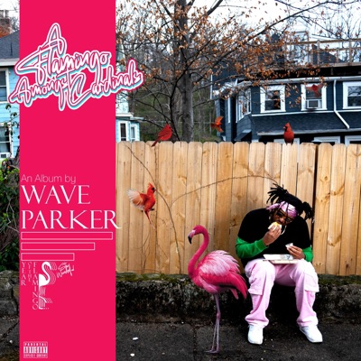 A Flamingo Amongst Cardinals