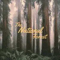 Thinking Of You — The National Forest