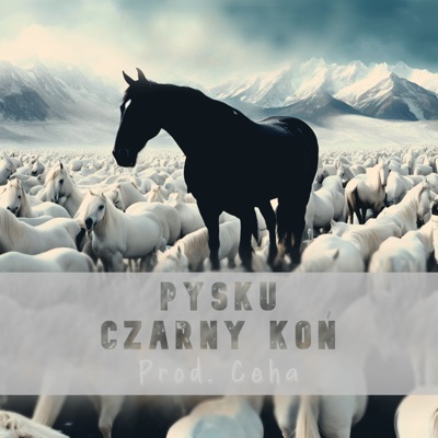 Czarny Koń - Single