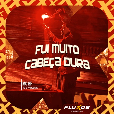 Fui Muito Cabeça Dura - Single