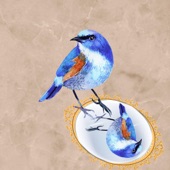 Mr. Blue Bird artwork