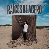 Raíces de Acero - Juan Freer