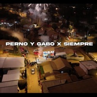 PERNO Y GABO X SIEMPRE (feat. ¥ EleK-47 ¥, YyGty47, Punto LVR & Semilla) - Single - LDV