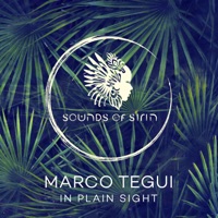 In Plain Sight - EP - Marco Tegui