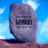 Zerb Mwaki (Techno Vip Mix) artwork