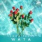 Wata - Lemon Tears lyrics