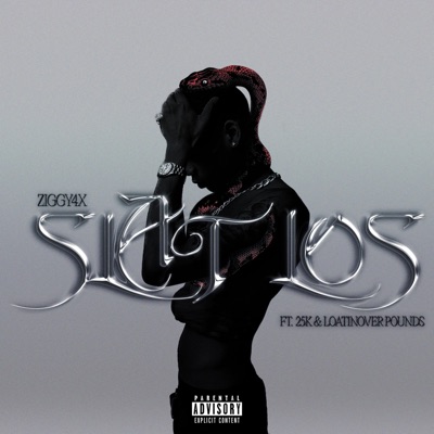 Slat Los (feat. 25K & Loatinover Pounds) - Single