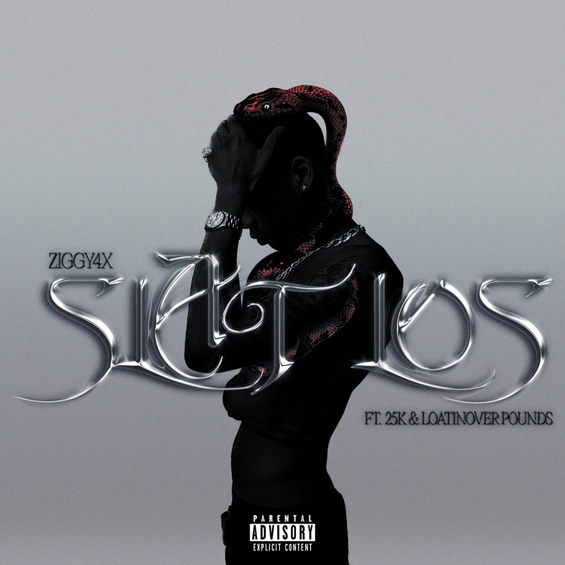 Slat Los (feat. 25K & Loatinover Pounds) Ziggy4x Song Lyrics, Music