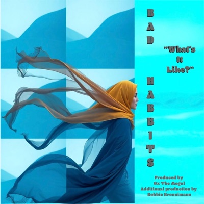 What's It Like? - Single