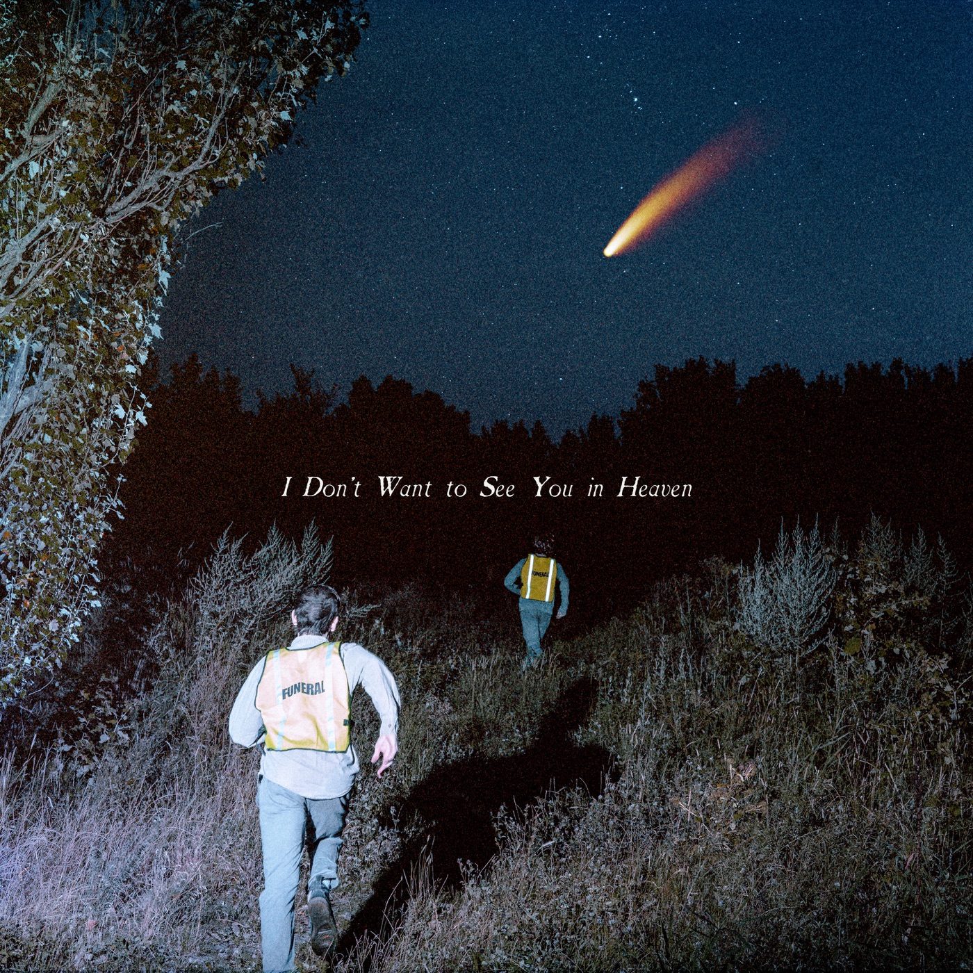 I Don’t Want to See You in Heaven by The Callous Daoboys