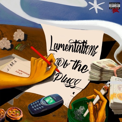 Lamentations Of The Plugg