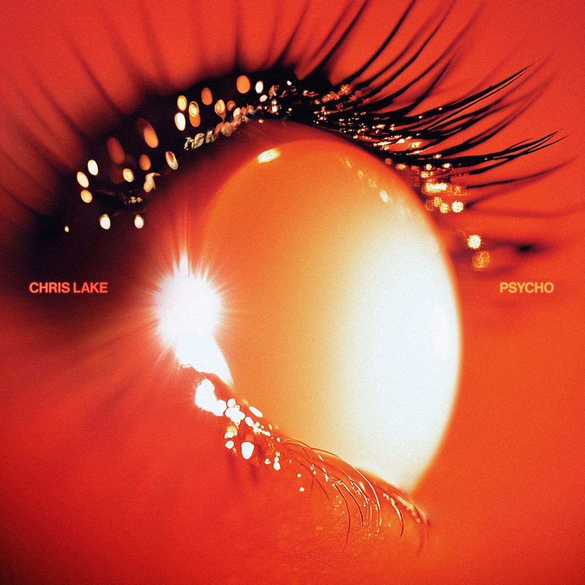 Chris Lake - Psycho - EP (2025) [iTunes Plus AAC M4A]-新房子