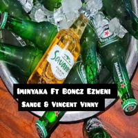 Iminyaka (feat. Soulful Tone, Bongz Ezweni, Sande & Vincent Vinny) - Single - DjMlungu SA