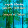 Lakshmi Nightingale