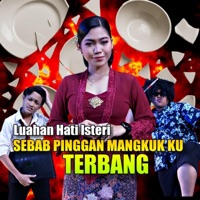 Sebab Pinggan Mangkuk Ku Terbang - Single - Amira Syahira