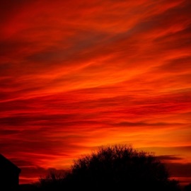 Golden Boy Danny & BL@CKBOX