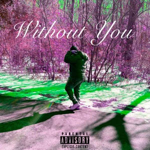 Without You