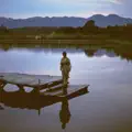 泥菩薩