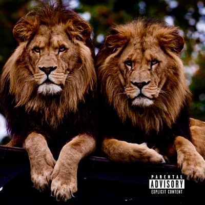 Natural Selection (feat. LLuvv) - Single