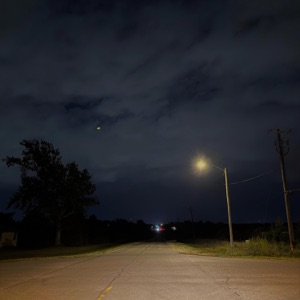 Dead Branches - Single