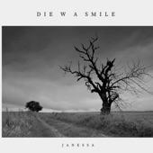 Die w a smile artwork