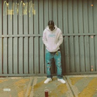 Thought I Told You - Tobi Laurent