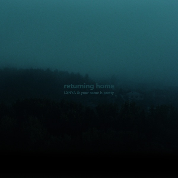 returning home (slowed) - Single